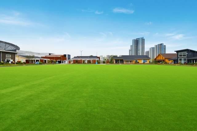 揭秘人M6米乐造草坪施工：打造绿色运动新空间
